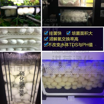 龍魚過濾材料怎么搭配好，龍魚過濾材料搭配建議