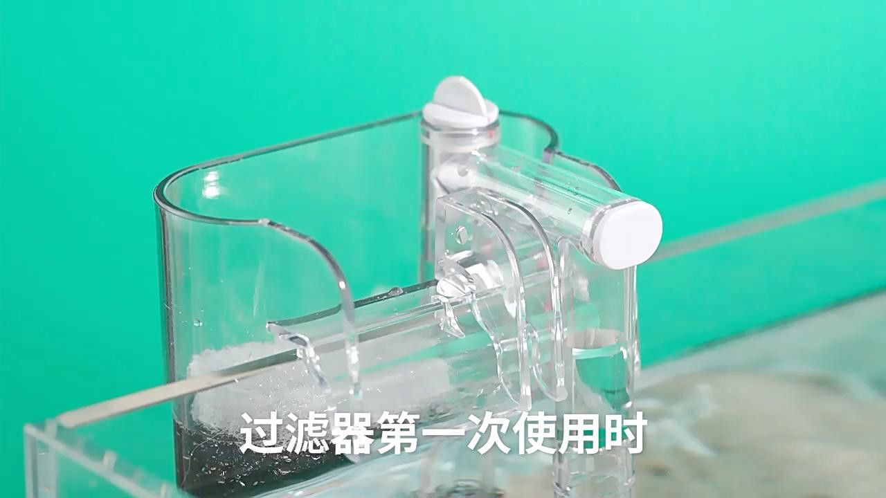 如何設置壁掛過濾以適應鬼王雷龍？