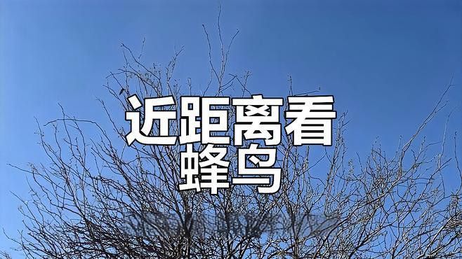 有哪些專業的攝影論壇可以參考？