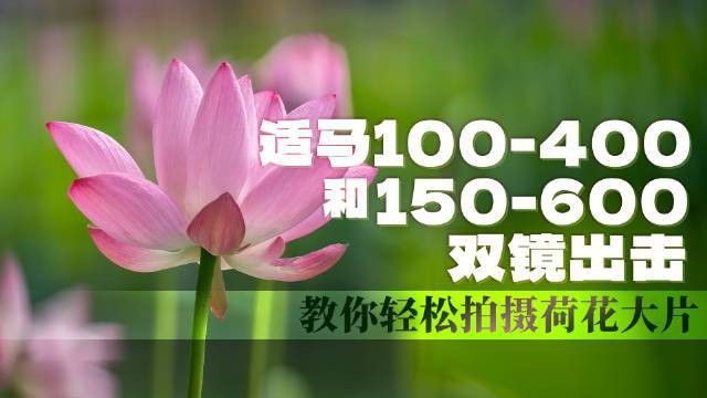 有哪些專業的攝影論壇可以參考？