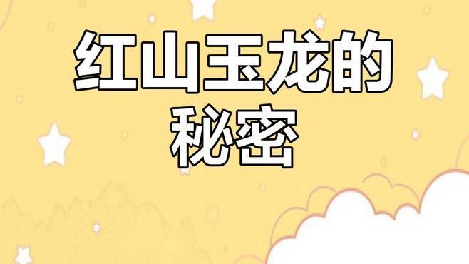 紅山玉龍的形象有何象征意義？
