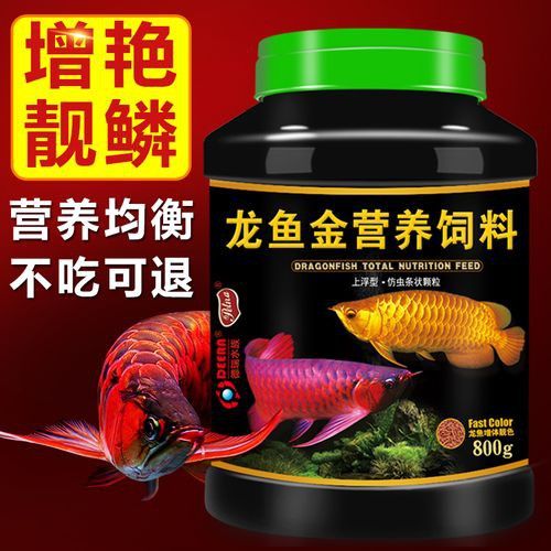 金龍魚如何發色快一點圖片