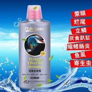金龍魚爛尾后怎么樣就是好了：金龍魚爛尾后怎么辦 金龍魚爛尾后怎么樣就是好了：金龍魚爛尾后怎么辦 龍魚百科 第3張