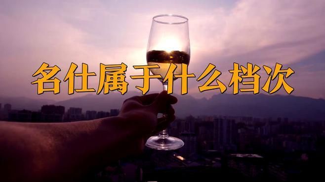 名士手表屬于什么檔次 名士手表屬于什么檔次 龍魚百科 第1張