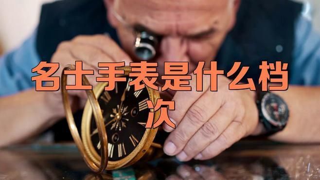 名士手表屬于什么檔次 名士手表屬于什么檔次 龍魚百科 第6張