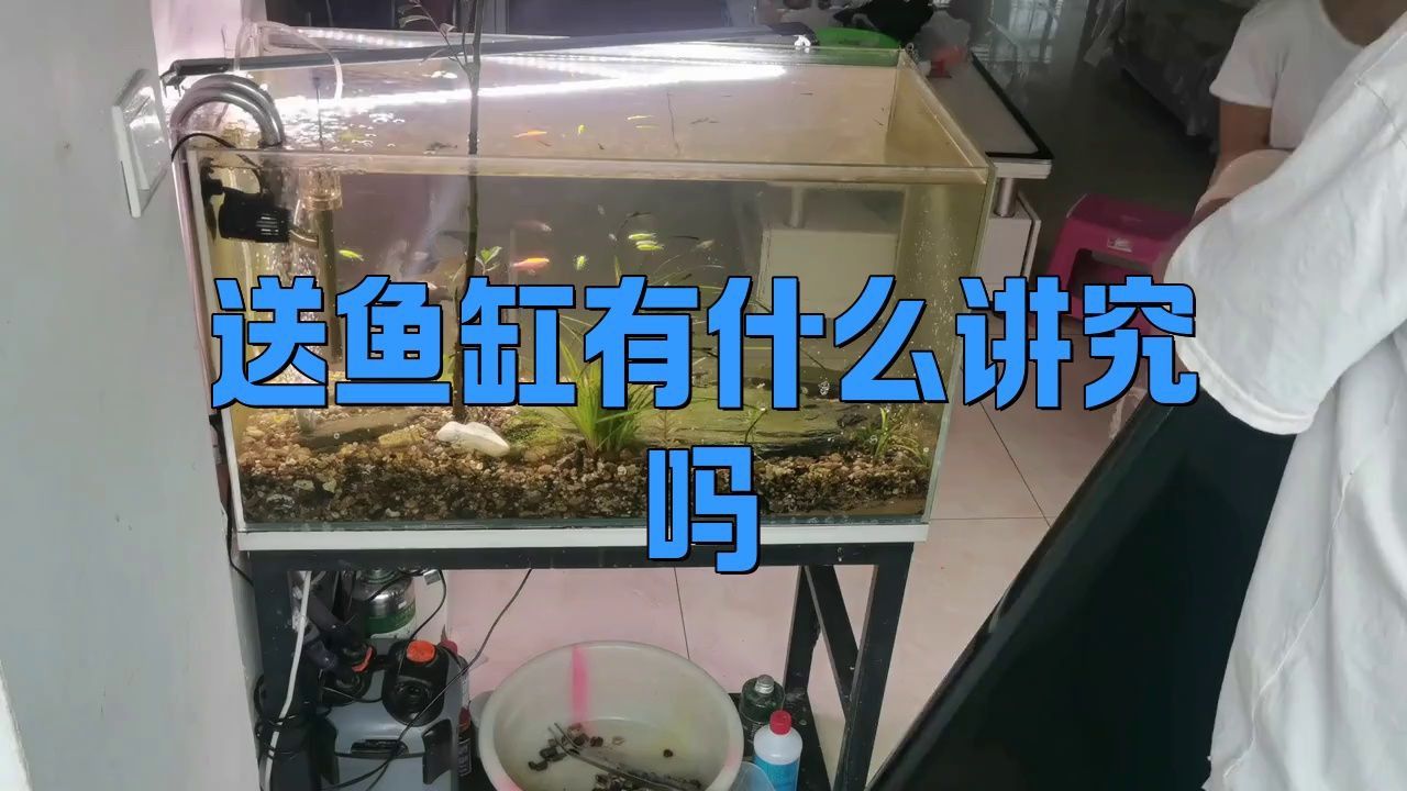龍魚贈送時需要連缸送嗎？