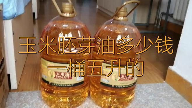 金龍魚玉米胚芽油5升價格多少