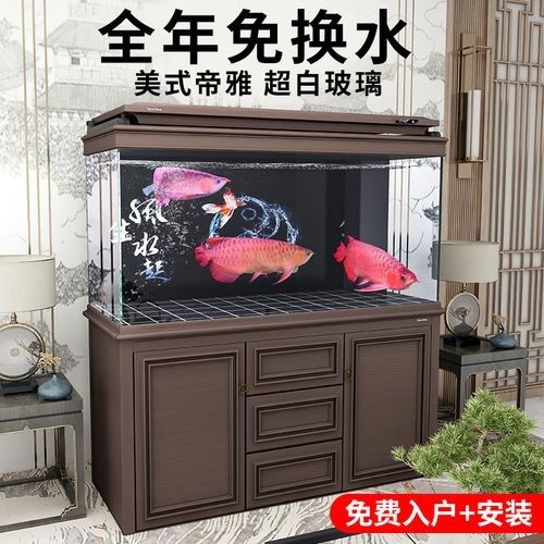 龍魚缸混養需要哪些設備？