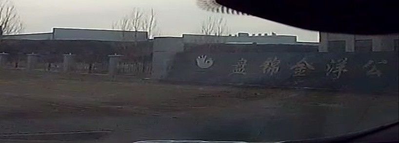 盤錦金龍魚公司地址在哪個(gè)位置 盤錦金龍魚公司地址在哪個(gè)位置 龍魚百科 第1張