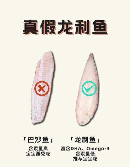 淡水龍魚圖片欣賞 淡水龍魚圖片欣賞 龍魚百科 第36張