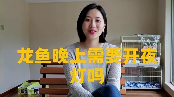 銀龍魚晚上開燈好還是關燈好 銀龍魚晚上開燈好還是關燈好 龍魚百科 第1張