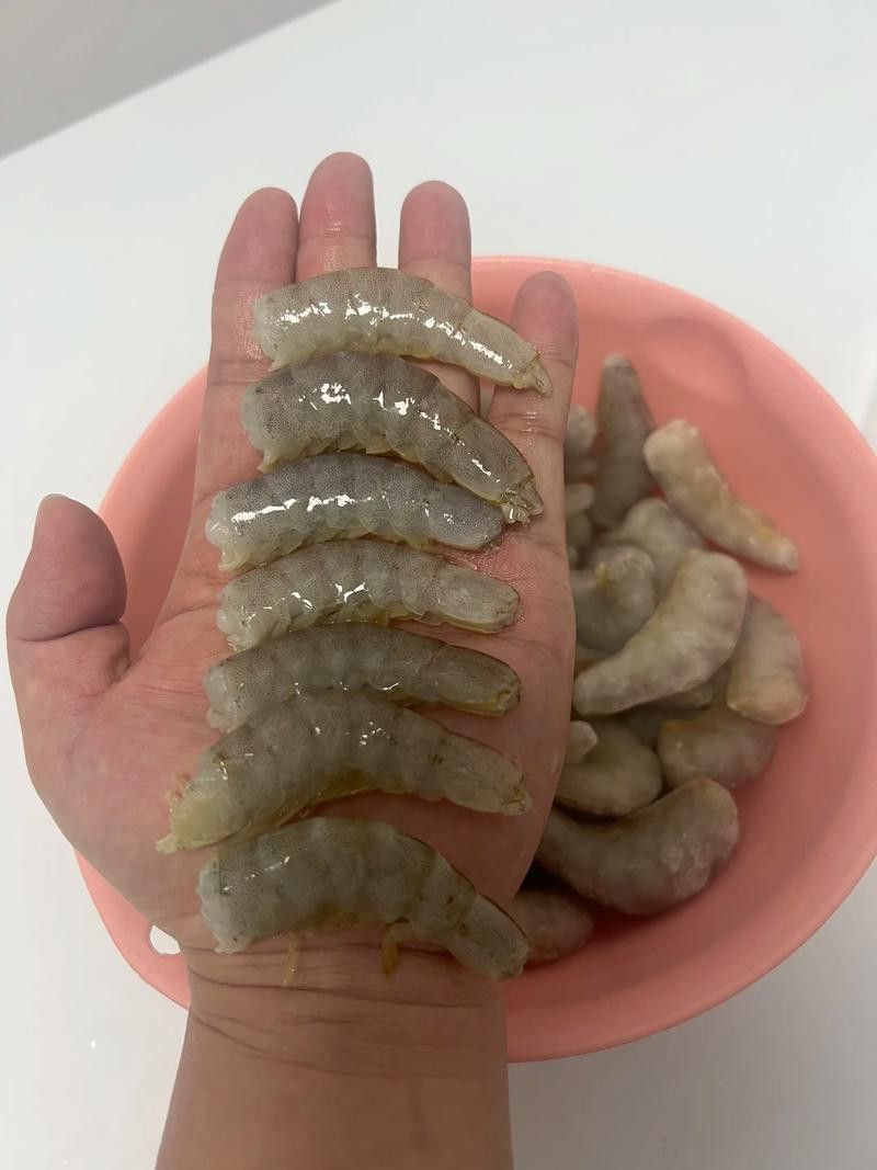 有哪些食物可以促進龍魚食欲？