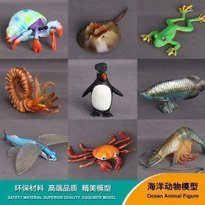 金龍魚動物百科全書電子版（金龍魚的養殖方法）