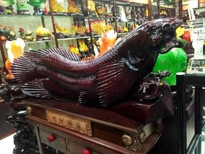 西安未央區(qū)龍魚市場（西安未央區(qū)有一個龍魚市場）