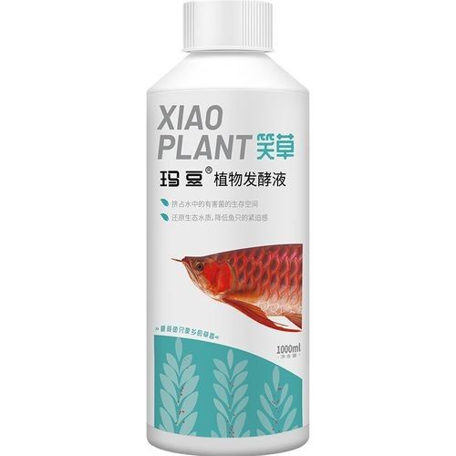 龍魚專用修復劑哪個品牌最好？