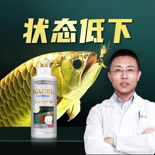 龍魚專用修復劑哪個品牌最好？