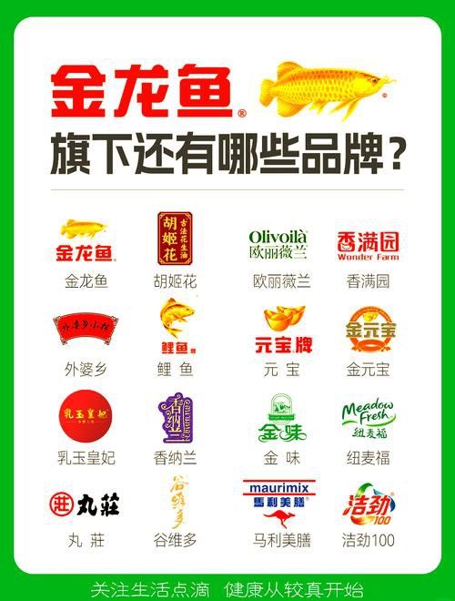 金龍魚logo設計理念是什么？ 金龍魚logo設計理念是什么？ 龍魚百科 第4張