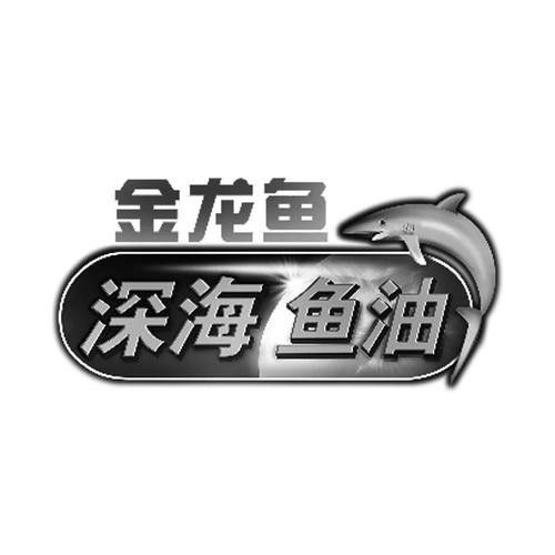 金龍魚logo設計理念是什么？ 金龍魚logo設計理念是什么？ 龍魚百科 第6張