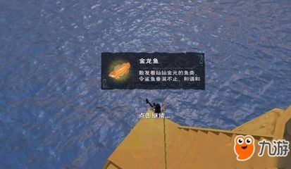 野生金龍魚哪里可以釣到：野生金龍魚可以在多個地區釣到 野生金龍魚哪里可以釣到：野生金龍魚可以在多個地區釣到 龍魚百科 第2張