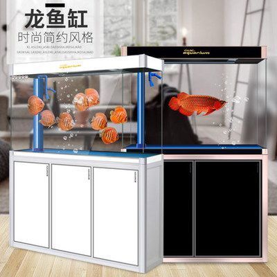 西龍魚缸過濾箱怎么安裝(如何安裝西龍魚缸過濾箱) 龍魚百科 第1張 西龍魚缸過濾箱怎么安裝(如何安裝西龍魚缸過濾箱) 西龍魚缸過濾箱怎么安裝(如何安裝西龍魚缸過濾箱) 龍魚百科 第1張