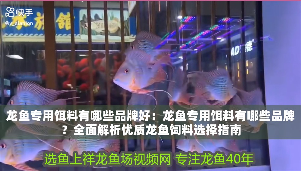龍魚(yú)專(zhuān)用餌料有哪些品牌好：龍魚(yú)專(zhuān)用餌料有哪些品牌？全面解析優(yōu)質(zhì)龍魚(yú)飼料選擇指南 龍魚(yú)專(zhuān)用餌料有哪些品牌好：龍魚(yú)專(zhuān)用餌料有哪些品牌？全面解析優(yōu)質(zhì)龍魚(yú)飼料選擇指南 龍魚(yú)百科 第1張
