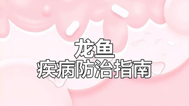 如何判斷紅龍魚是否得了凸眼病？ 如何判斷紅龍魚是否得了凸眼病？ 龍魚百科 第2張