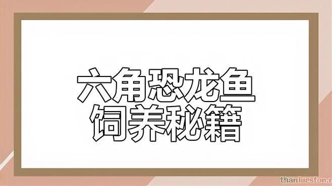 飼養六角恐龍魚的教學