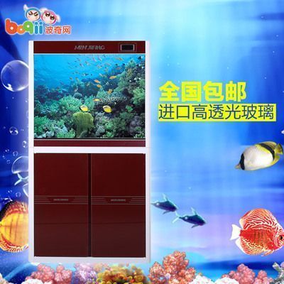 性價比最高的龍魚缸：性價比最高的龍魚缸選擇性價比最高的龍魚缸
