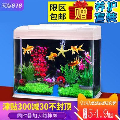 怎么樣讓龍魚開口吃東西：養龍魚不掉眼需要注意以下幾個方面 怎么樣讓龍魚開口吃東西：養龍魚不掉眼需要注意以下幾個方面 龍魚百科