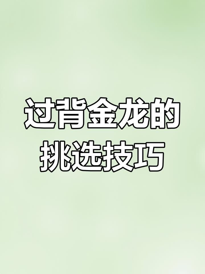 如何區分過背金龍的真假爬背？