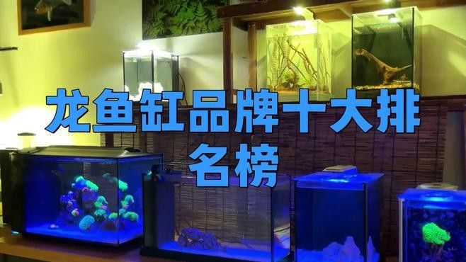 有哪些品牌魚(yú)缸適合養(yǎng)黑鱗龍魚(yú)？