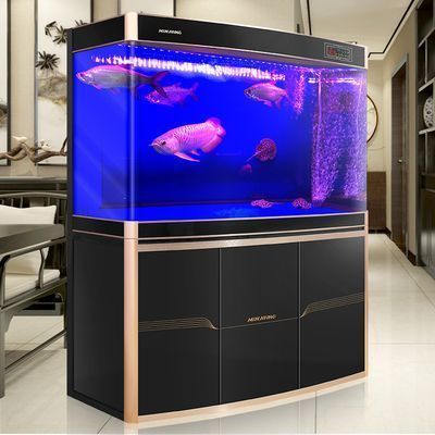 龍魚燈光選擇圖解視頻：龍魚燈光選擇圖解