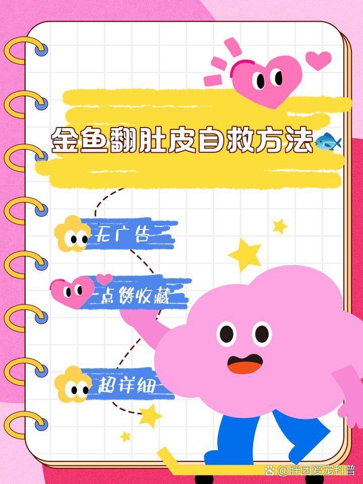 金魚奄奄一息,身體翻了一半怎么辦