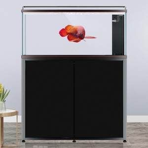 彩蝶魚缸龍?zhí)缎卤?.2米c寬66：彩蝶魚缸龍?zhí)缎卤?.2米c寬66是一款專業(yè)的魚缸產(chǎn)品 彩蝶魚缸龍?zhí)缎卤?.2米c寬66：彩蝶魚缸龍?zhí)缎卤?.2米c寬66是一款專業(yè)的魚缸產(chǎn)品 龍魚百科 第4張