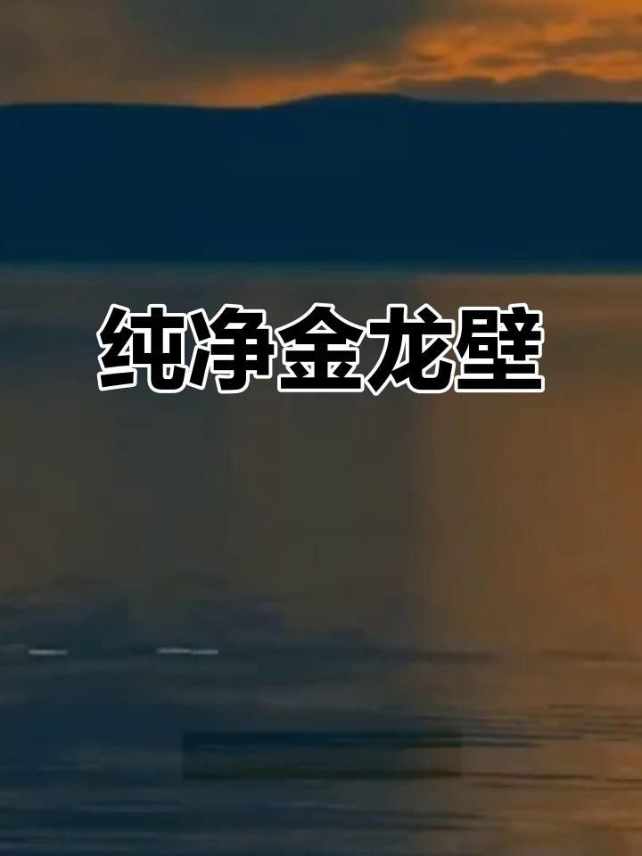 給我推薦一些金龍魚壁紙
