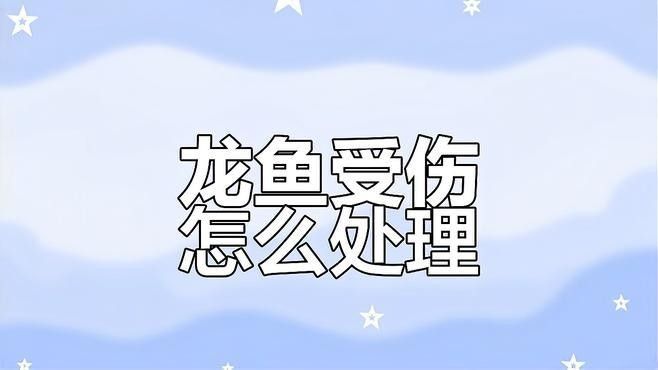 龍魚跳缸后受傷怎么辦視頻