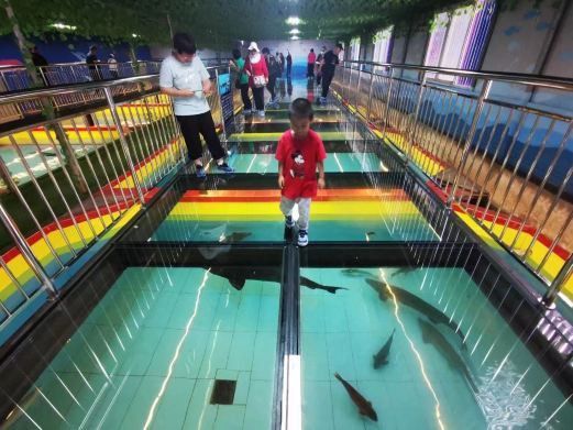 北京龍魚漁場地址在哪里