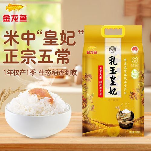 金龍魚2號