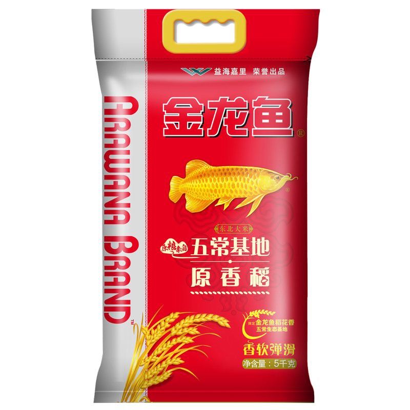 金龍魚2號