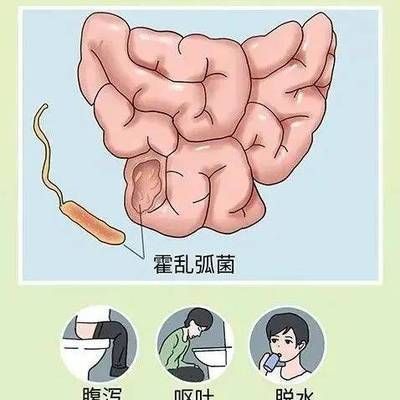 羽毛刀魚苗霍亂病的傳播途徑（羽毛刀魚苗霍亂病的主要傳播途徑）
