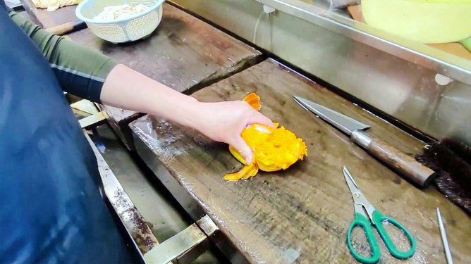 金老虎魚視頻大全免費觀看 金老虎魚視頻大全免費觀看 龍魚百科 第3張
