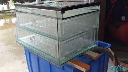 雙層魚缸設計概述（雙層魚缸的設計） 雙層魚缸設計概述（雙層魚缸的設計） 龍魚百科 第5張