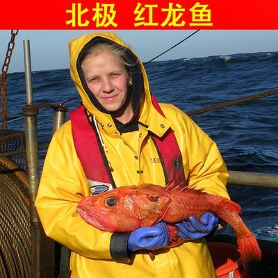 深海紅龍魚價(jià)格多少錢一條（深海紅龍魚價(jià)格） 深海紅龍魚價(jià)格多少錢一條（深海紅龍魚價(jià)格） 龍魚百科 第2張