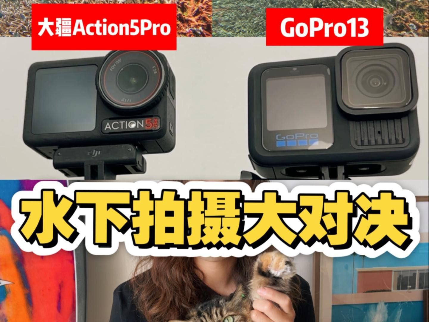 有哪些手機(jī)適合水下拍攝
