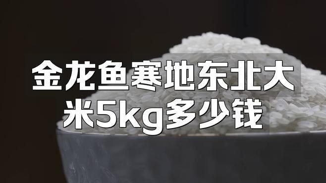 金龍魚產品的價格范圍是多少？ 金龍魚產品的價格范圍是多少？ 龍魚百科 第3張