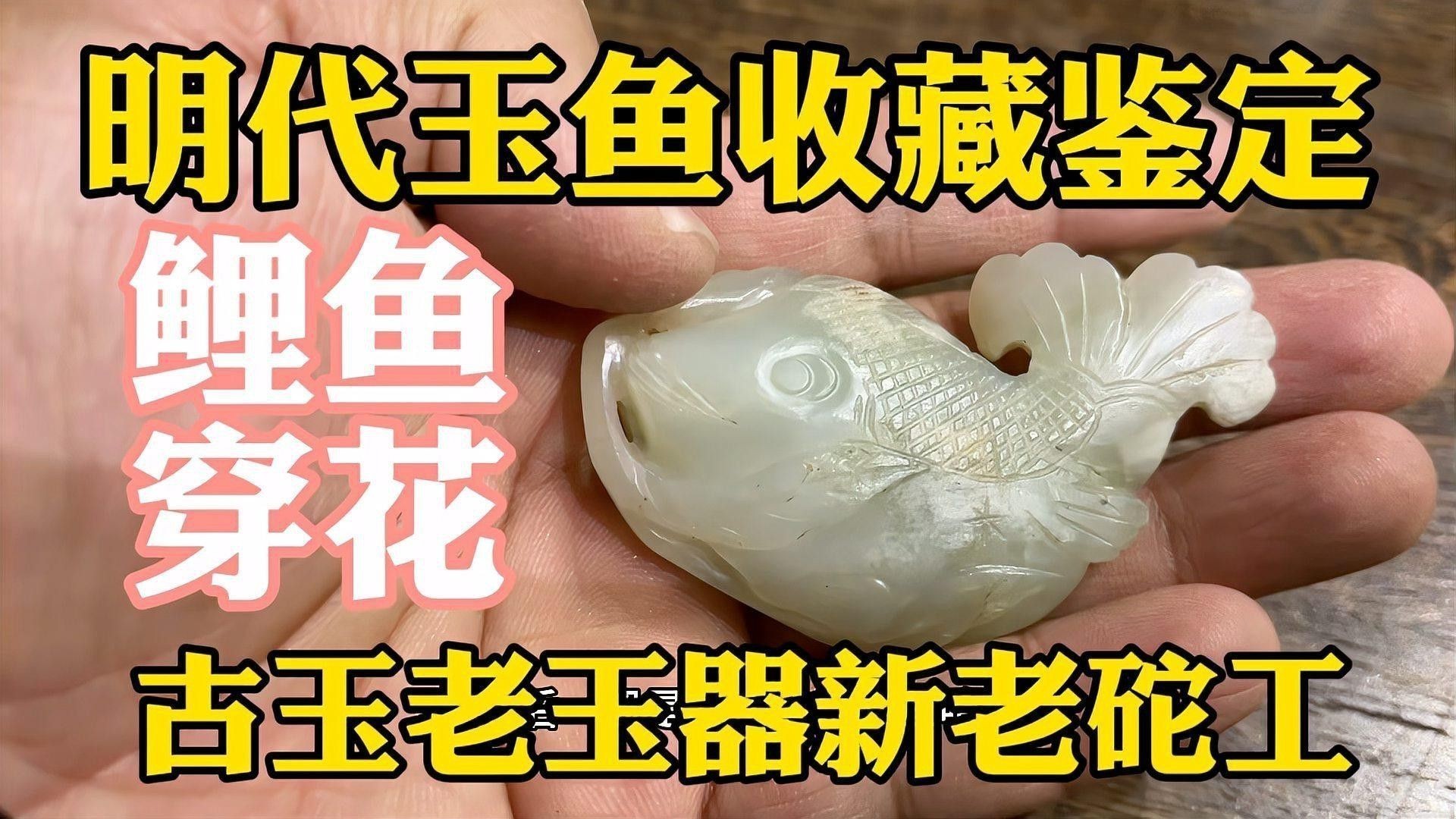 如何辨別龍頭魚身擺件的年代？ 如何辨別龍頭魚身擺件的年代？ 龍魚百科 第2張