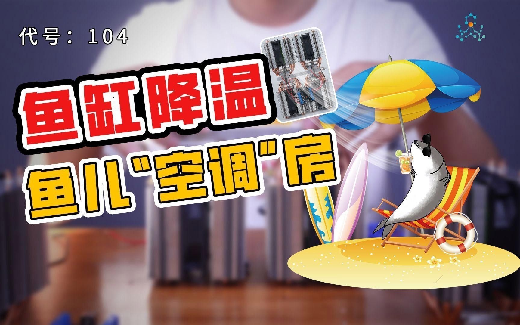 推薦幾款適合龍魚缸的溫控器 推薦幾款適合龍魚缸的溫控器 龍魚百科 第5張