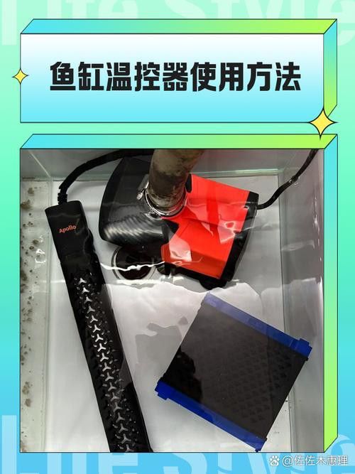 推薦幾款適合龍魚缸的溫控器 推薦幾款適合龍魚缸的溫控器 龍魚百科 第10張