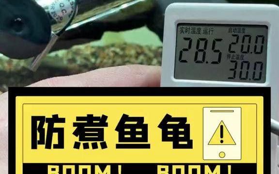 推薦幾款適合龍魚缸的溫控器 推薦幾款適合龍魚缸的溫控器 龍魚百科 第16張