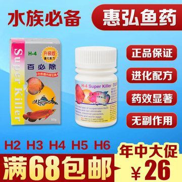 龍魚預防腸炎用什么藥：預防龍魚腸炎的藥物建議：龍魚腸炎的自然療法是否清潔 龍魚預防腸炎用什么藥：預防龍魚腸炎的藥物建議：龍魚腸炎的自然療法是否清潔 龍魚百科 第3張